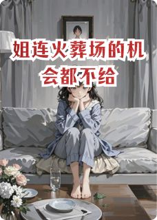 快手热文姐连火葬场的机会都不给苏晚陆沉小说推荐