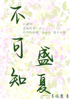 不可知盛夏精彩小说-不可知盛夏目录阅读