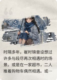 崔时锦段尽葱油蛋挞小说全章节最新阅读-欧迈阅读网