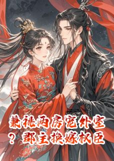 傅璋凤阙小谢昭昭兼祧两房宠外室？郡主换嫁权臣完结版小说全文免费阅读