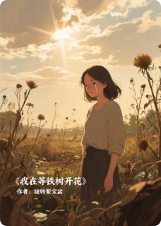 苏晚周叙白顾屿全本小说 我在等铁树开花全文免费在线阅读