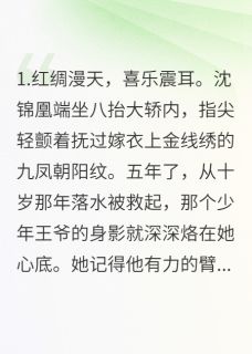 锦凰归来小说(完结版)-锦凰沈月柔萧灼在线阅读