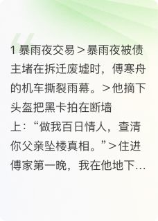 阮梨傅寒舟小说大结局在哪看-百日合约情人藏着我十八岁的糖完整版免费阅读