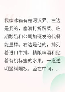主角严昼林菲小说爆款和老公的AA制婚后生活完整版小说