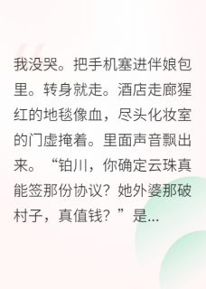 云珠青岩铂川小说结局-欧迈阅读网