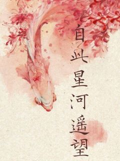 自此星河遥望完整版免费阅读,江梨恩陆明庚沈阙小说大结局在哪看