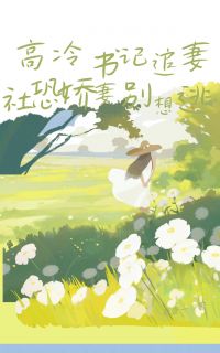 苑壹一的小说高冷书记追妻，社恐娇妻别想逃全文阅读