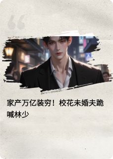 家产万亿装穷校花未婚夫跪喊林少苏晚晴陆明宇大结局小说全章节阅读-欧迈阅读网