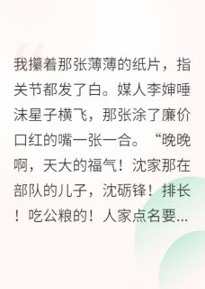 沈砺锋沈玉兰(原文完整)七零小军嫂,娇软好生养无弹窗免费阅读