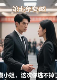 值得熬夜看完的第七年复燃小说阅读