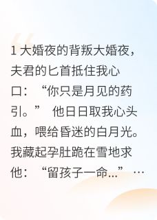 剜心为引后,白月光醒了沈未晞萧执-小说txt全文阅读-欧迈阅读网