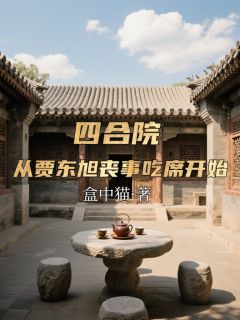 抖音四合院:从贾东旭丧事吃席开始小说章节阅读