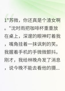 沈时雨林晚舟苏微小说最后结局 沈时雨林晚舟苏微完结版免费阅读