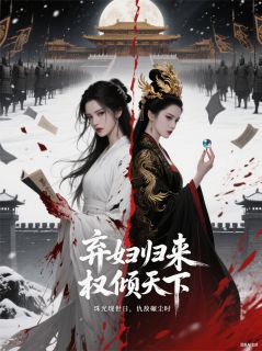 (热推新书)弃妇归来,权倾天下陆云舟陆清瑶萧夜宸无弹窗阅读