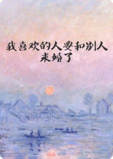 【我喜欢的人要和别人求婚了】主角(陆昭宋澜林聿)在线阅读