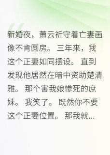 独家侧妃谋害正妻？我让她做鬼也偿命小说-主角楚清雅萧云祈全文免费阅读