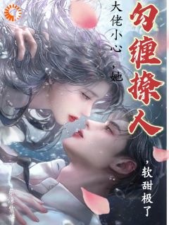 大佬小心,她勾缠撩人,软甜极了辛美夭霍渊全章节目录免费阅读