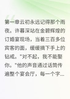 前夫看到我4岁女儿,傻了小说主角是云初许暮深白清音全文完整版阅读-欧迈阅读网