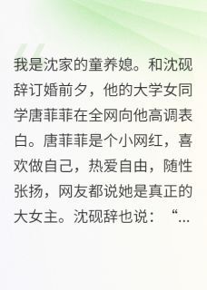 (全本)男友去环游世界,我改嫁后他哭了主角沈砚辞唐菲菲沈泽川全文目录畅读