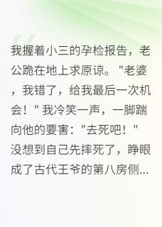 慕容寒苏丞相苏浅浅小说大结局在哪看-穿越成侧妃后我当了女皇帝完整版免费阅读