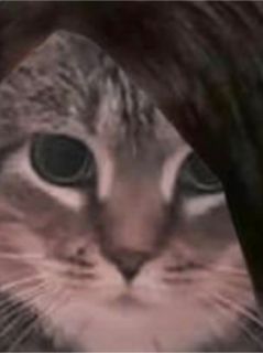 悔肝肠小说(完结版)-苏瑾韩清白华在线阅读