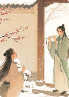 听雪逢君时抖音全本小说林晚舟沈清寒抖音免费章节阅读