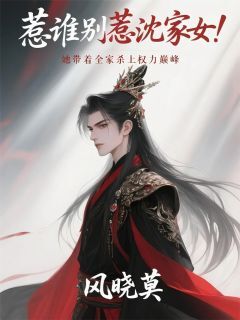 新上惹谁别惹沈家女带着全家杀上巅峰风晓莫小说免费阅读-欧迈阅读网