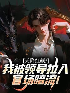 【新书】天降红颜?我被领导拉入官场暗流!主角李云涛王为民全文全章节小说阅读-欧迈阅读网