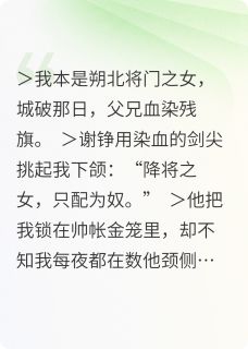 抖音爆款将门之女,城破,父兄血染残旗小说免费阅读