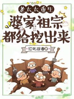 老太太重生,婆家祖宗都给挖出来小说(完结)-秦美棠林正华林大海章节阅读