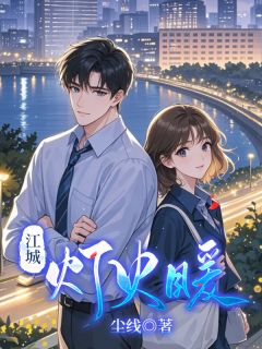 江城灯火暖龚岚苏珊珊张斌大结局在线阅读