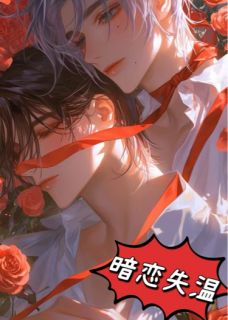 江屿沈砚章节免费阅读