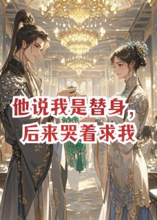 他说我是替身,后来哭着求我小说(完结版)-傅云洲叶枕夏傅云川在线阅读-欧迈阅读网