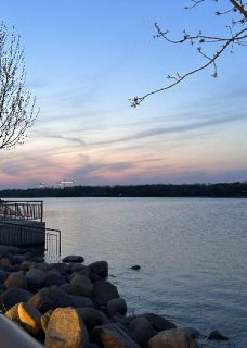 好书推荐真千金死后，全家都后悔了林星晚林薇薇沈月茹全文在线阅读