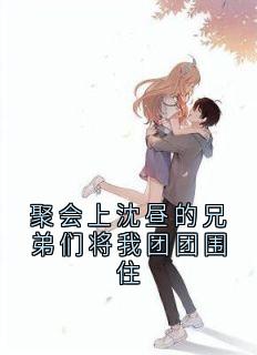 聚会上沈昼的兄弟们将我团团围住免费小说作者沈昼全文阅读