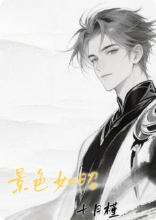 值得熬夜看完的景色如昭小说阅读