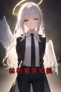 林栀夏裴知鹤林栀夏裴知鹤大结局小说全章节阅读