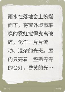 灰白总裁与他的调色师(林晚沈聿白)全文完整版阅读