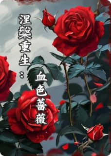 好文热推小说涅槃重生：血色蔷薇主角沈墨尘林蔷薇全文在线阅读