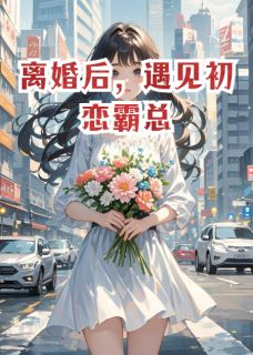 离婚后,遇见初恋霸总完整版-樊星苗淼在线全文阅读