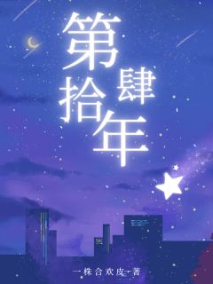 值得熬夜看完的第拾肆年小说阅读