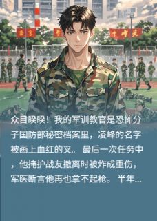 凌峰苏晚是哪部小说的主角 凌峰苏晚全文阅读