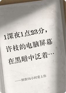 倒数72小时爱上你陆洲许枝小说_倒数72小时爱上你完结版阅读