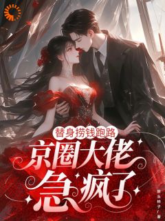 舒浅贺砚州(原文完整)替身捞钱跑路，京圈大佬急疯了无弹窗免费阅读