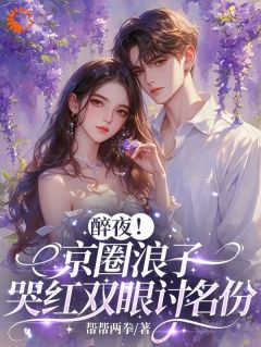 醉夜!京圈浪子哭红双眼讨名份小说(完结)-乔婉贺随章节阅读