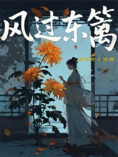 【热文】风过东篱主角靖王苏婉儿芷兰小说全集免费阅读