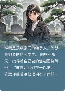 十年雨小说主角是林薇陈默苏晚全文完整版阅读