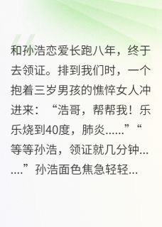 领证当天，他初恋的遗腹子生病了(孙浩乐乐张玲)全文章节在线阅读