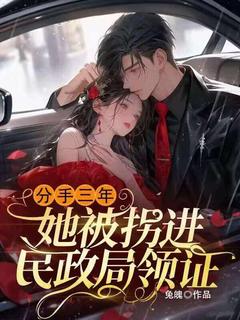 分手三年，她被拐进民政局领证全本小说（分手三年，她被拐进民政局领证）全文阅读