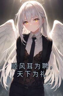 顺风耳为聘，天下为礼快手热推宁瑞安莺莺免费阅读-欧迈阅读网